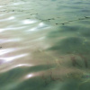 Отель Costa Gaia, фото 13
