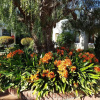Отель Lemon Tree Lane, фото 14
