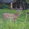 Отель Kruger Park Lodge - Golf Safari SA, фото 23