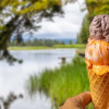 Отель SpringHill Suites Island Park Yellowstone, фото 39