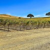 Отель Pleasant Valley Wine Trail Home - Near Paso Robles, фото 21