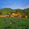 Отель The Fern Ranthambore Forest Resort, фото 11