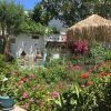 Отель Nikoleta Rooms, фото 14