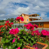 Отель Apartments Šeherzada, фото 23