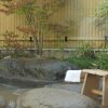 Отель Shikano Onsen Oyado Yumehiko, фото 11