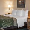 Отель Comfort Inn Charlotte, фото 4