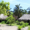 Отель Las Palmeras, фото 6