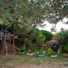 Отель Garden Studio With Jacuzzi & Bbq / 100m To The Beach, фото 5