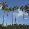 Отель Rent a Luxury Villa on Champions Gate Resort, Minutes From Disney, Orlando Villa 2988, фото 1
