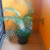 Отель Apartamento Vista da Montanha, фото 18