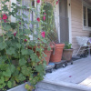 Отель Hollyhock Country House, фото 6