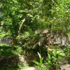 Отель Jungle house, фото 17