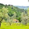 Отель Casa Elena Panoramic Chianti Hills, фото 16