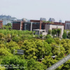Отель 株洲龙腾商务宾馆, фото 21