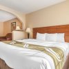 Отель Best Western Owasso Inn & Suites в Овассо