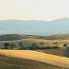 Отель Agriturismo Le Cannelle, фото 5