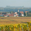 Отель Gästehaus und Weingut Peth во Флёрсхайм-Дальсхайм