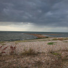 Отель Driftwood Beach House, фото 21