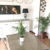 Отель Apartment With 2 Bedrooms In Perpignan, With Wonderful Mountain View, Furnished Balcony And Wifi 13 , фото 9