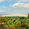 Отель Hideaway N Paradize, фото 2