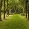 Отель Monumental Mansion With a Warm Ambience in Natural Area Voornse Dunes, фото 10