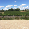 Отель Au Charmant Des Vignes, фото 13