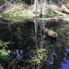 Отель Blue Waters Cottage, фото 9