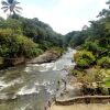 Отель Jarabacoa River Club, фото 10