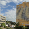 Отель Opal Hotel, фото 1