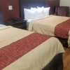 Отель Red Roof Inn & Suites Houston - Hobby Airport, фото 8