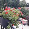 Отель Garden-View Holiday Home in Bligny-Sur-Ouche with Terrace, фото 3