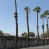 Отель Indio Holiday Motel, фото 16