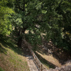 Отель Agriturismo Le Cerque, фото 22