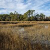 Отель Heron's Watch, фото 2