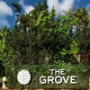 Отель The Grove 1BR Apt w Rooftop Pool Onsite Amenities, фото 10