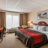 Отель Comfort Inn & Suites, фото 1