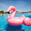 Отель Flamingo resort, фото 18