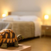 Отель Bee Happy - Bed and Breakfast, фото 10
