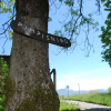 Отель Pimpisnino Brissago in Brissago, фото 19