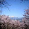 Отель Tabi-no-Yado Furarin (Formerly Rokugo Furalin Youth Hostel), фото 12
