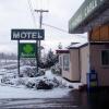 Отель Shamrock Motel, фото 2