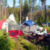 Отель Blue River Cabins Campground & RV Park, фото 5