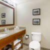 Отель Comfort Inn & Suites, фото 9
