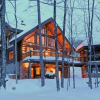 Отель Chalet Riverlog, фото 1