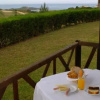 Отель Ilha Do Pessegueiro Campsite & Bugalows, фото 16