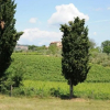 Отель Agriturismo Castello di Bucignano, фото 27