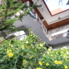 Отель Vila Alizee Hotel, фото 19