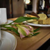 Отель TLC Exmouth Bed and Breakfast, фото 24