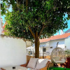 Отель Cord Hotel & Resort, фото 6