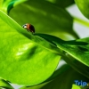 Отель Vanke Songhua Lake - Nordic Town Holiday Apartment, фото 17